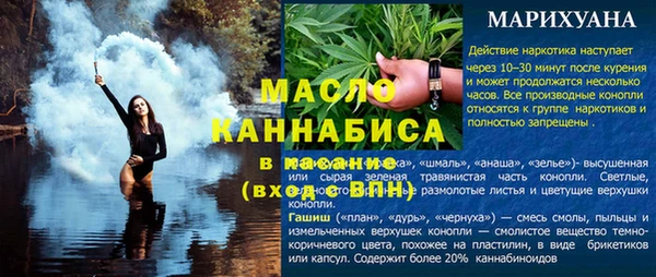 спиды Каменногорск