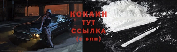 соль курить ск Алзамай