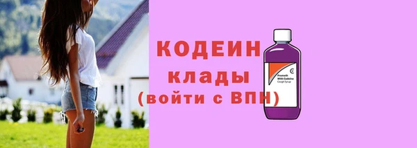 спайс Каменка