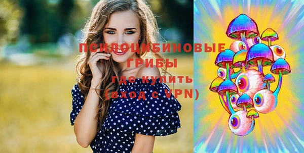 соль курить ск Алзамай