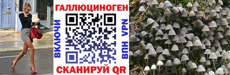 Галлюциногенные грибы мицелий  Дудинка 